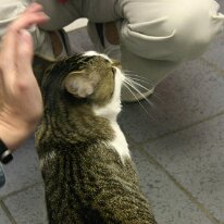 IMG_5520 (web)