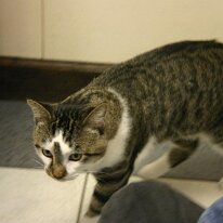 IMG_5523 (web)