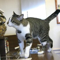 IMG_5524 (web)