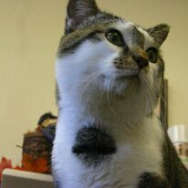 IMG_5528 (web)