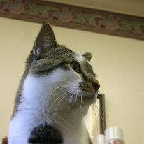 IMG_5529 (web)