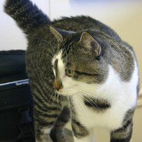 IMG_5530 (web)