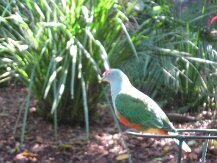 IMG_1600