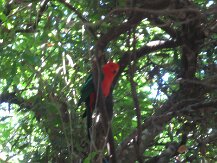 IMG_1602