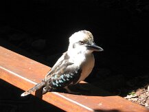 IMG_1605