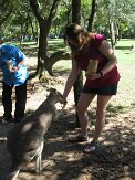 Another 'roo