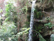IMG_1344