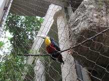 IMG_1347