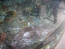 IMG_1351