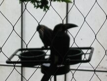 IMG_1352