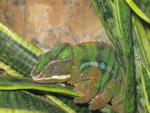 IMG_1358