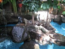 IMG_1360