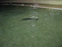 IMG_1555