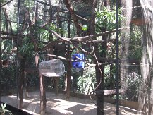 IMG_1557
