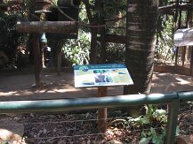 IMG_1559