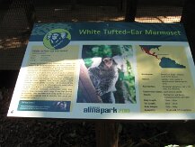 IMG_1560