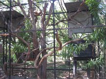 IMG_1561