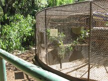 IMG_1567