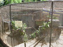 IMG_1568