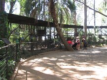 IMG_1573