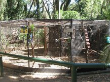 IMG_1564