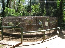 IMG_1569