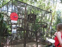 IMG_1570
