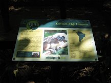 IMG_1572