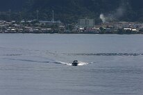 IMG_3114