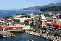 IMG_3126