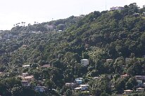 IMG_3297