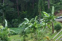 IMG_3299