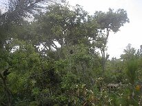IM001380