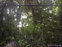 IM001386