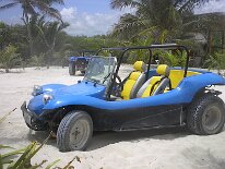 IM001331