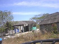 IM001335