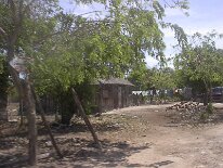 IM001339