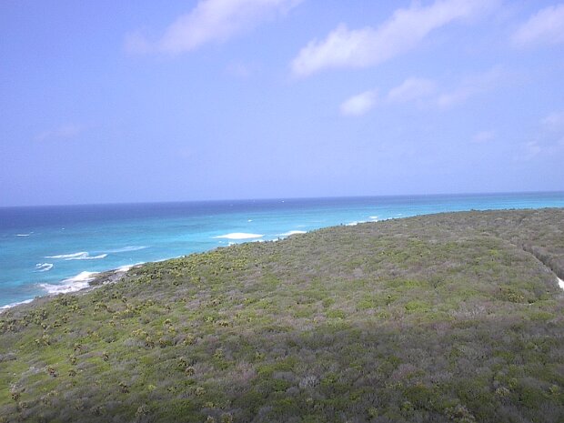 Cozumel