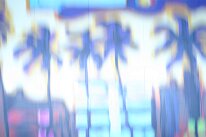 IMG_0854