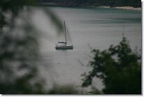 IMG_0749