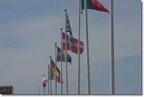 IMG_0804