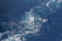 IMG_0123