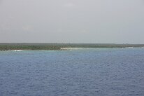 IMG_0125