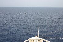 IMG_0126