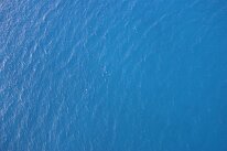 IMG_0206