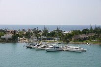 IMG_0185