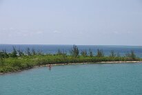 IMG_0195