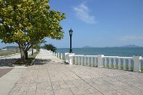 IMG_0155