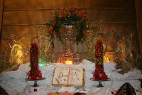 IMG_0239