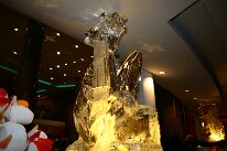 IMG_0244
